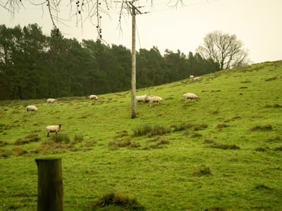 Blood test locations in Buckinghamshire