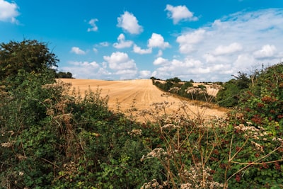 Blood tests in Hertfordshire