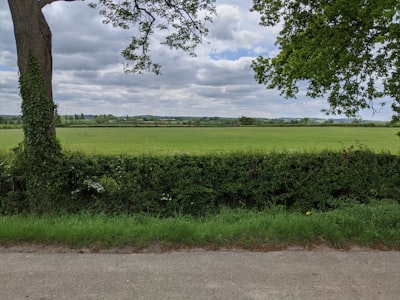 Blood test locations in Leicestershire