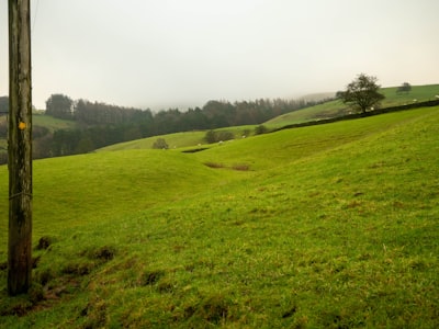 Blood tests in Surrey